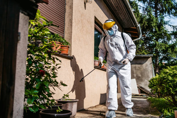 Best Exterminator Services  in Rocky Mount, NC