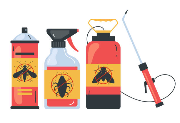 Best Wasp Removal Services  in Rocky Mount, NC